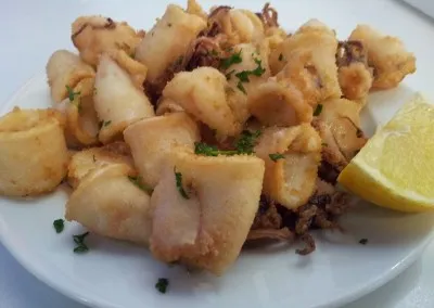 plato 19